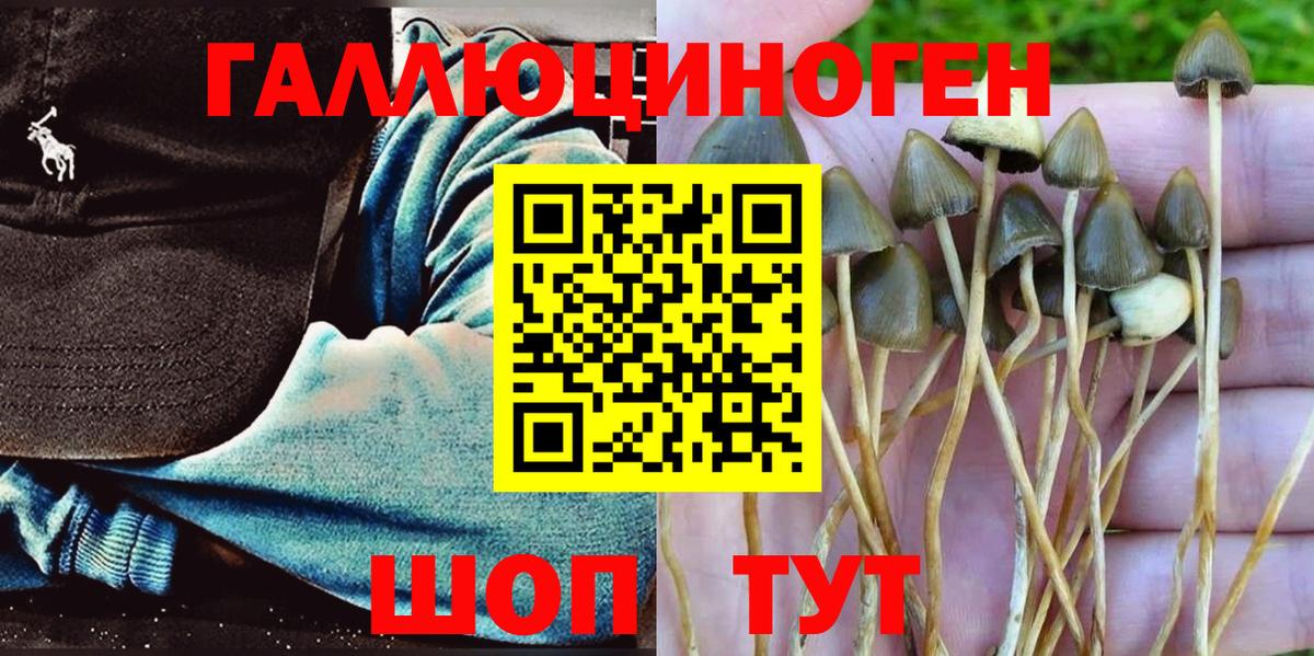 Галлюциногенные грибы Cubensis  Галлюциногенные грибы GOLDEN TEACHER  Лосино-Петровский  Вход с VPN 