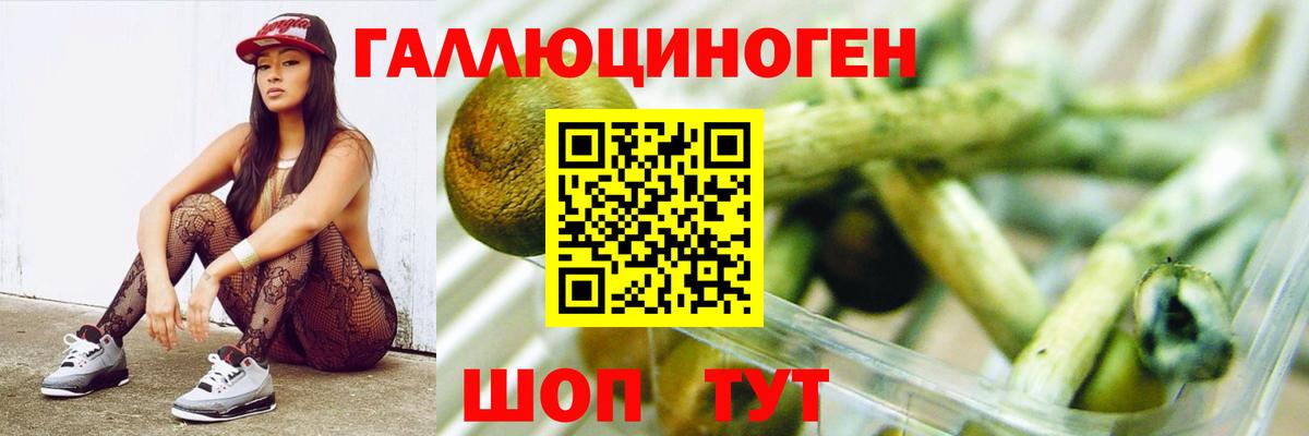 Псилоцибиновые грибы прущие грибы Лосино-Петровский